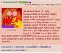 481 KB
