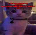 530 KB