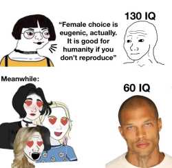 460 KB