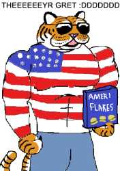 54 KB