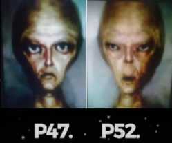 19 KB