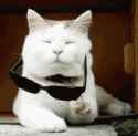 136 KB