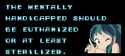 17 KB