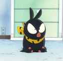 19 KB