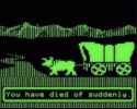 87 KB
