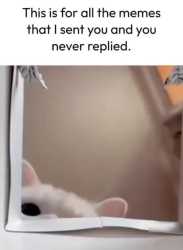 255 KB