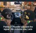 114 KB
