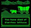 91 KB