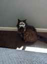 73 KB