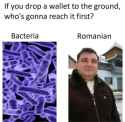 225 KB