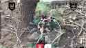 3.86 MB