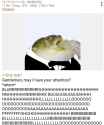 161 KB