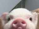 23 KB