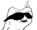 40 KB