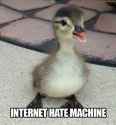 288 KB