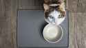 76 KB