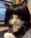 311 KB