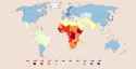 225 KB