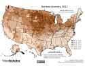 503 KB
