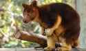 68 KB