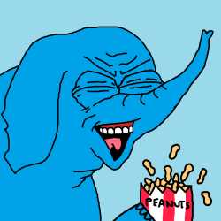 13 KB