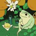 1.21 MB