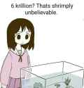 41 KB