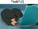 30 KB