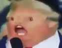 11 KB