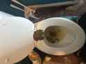 2.08 MB