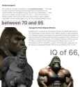 503 KB
