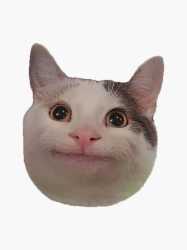 14 KB
