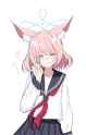 519 KB