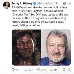 151 KB