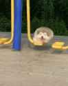 1.58 MB