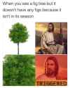77 KB