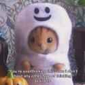 49 KB