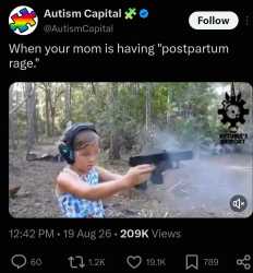293 KB