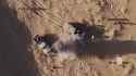 2.96 MB