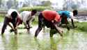 99 KB