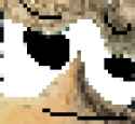 29 KB
