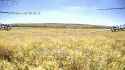 3.88 MB