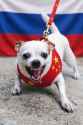 418 KB