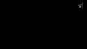 2.75 MB