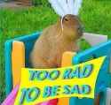 129 KB