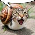 492 KB