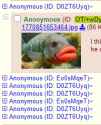 33 KB