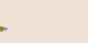 3.79 MB