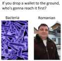 68 KB