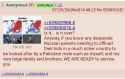 231 KB